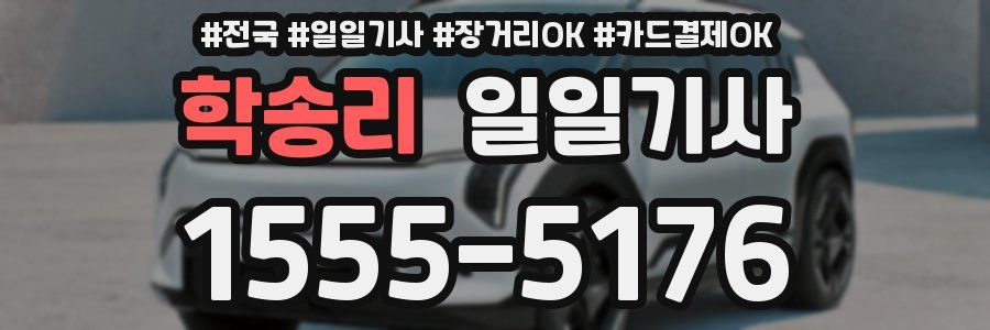 학송리 일일기사