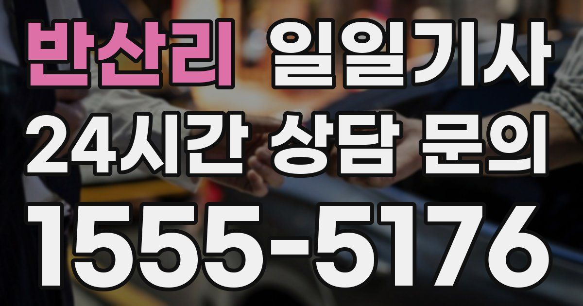 일일대리기사