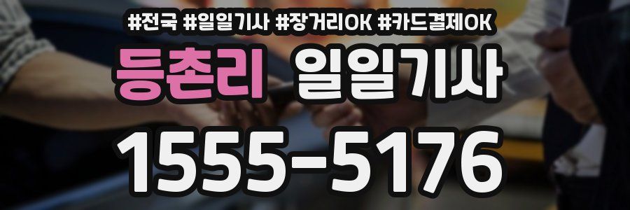 등촌리 일일기사