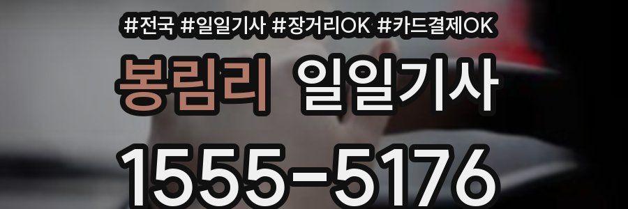 봉림리 일일기사