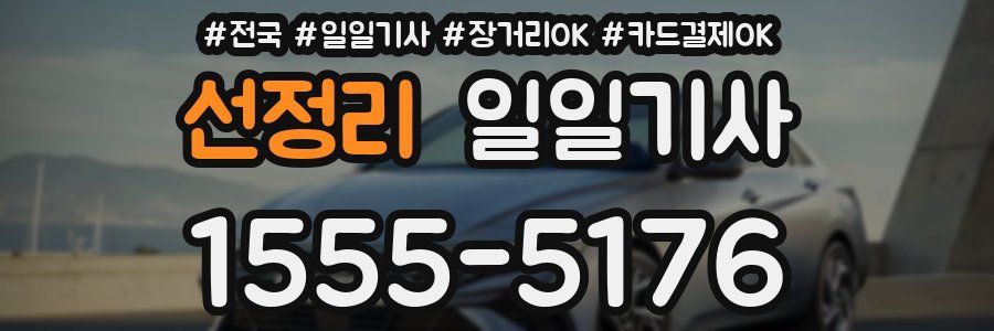 선정리 일일기사