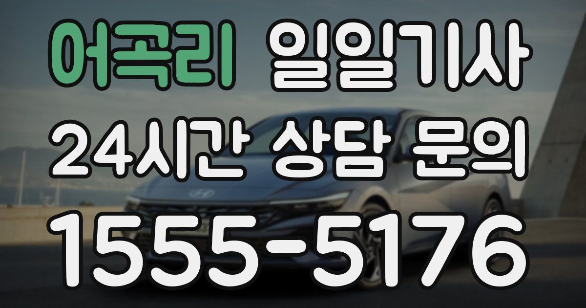 일일대리기사