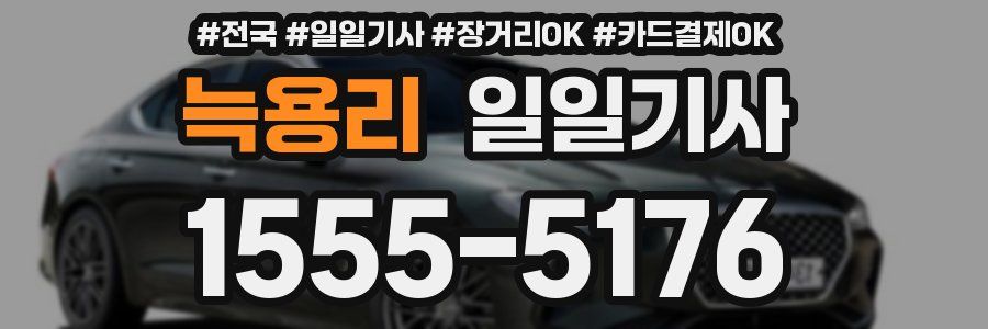 늑용리 일일기사