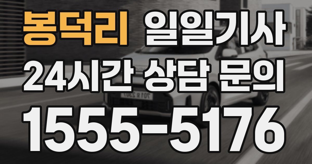 일일대리기사