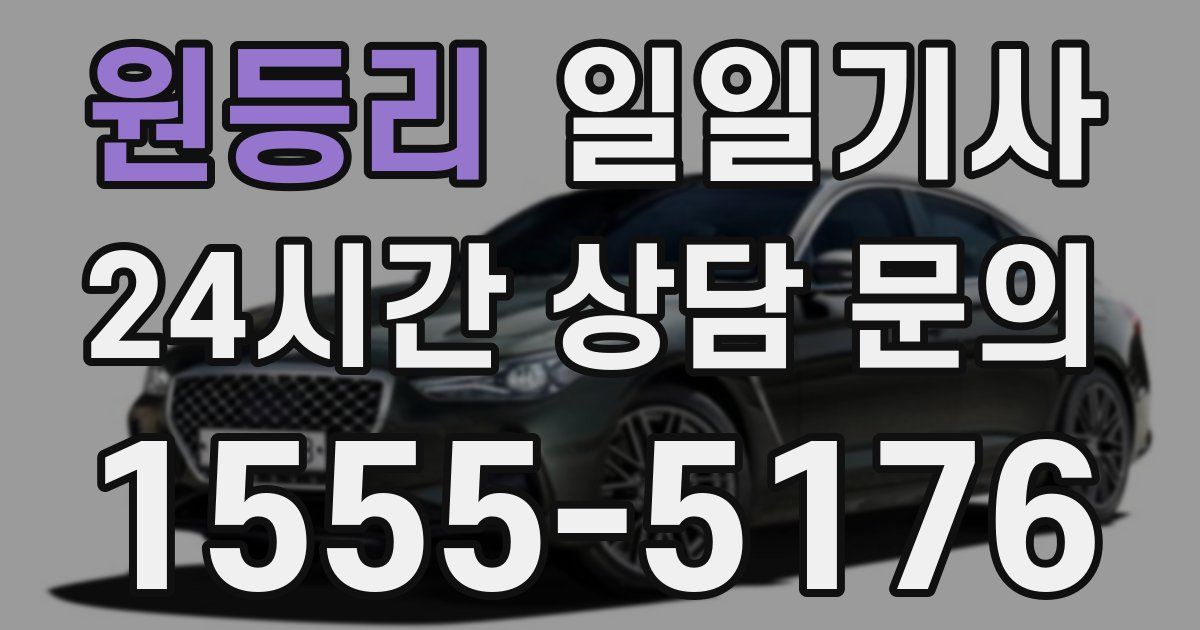 일일대리기사