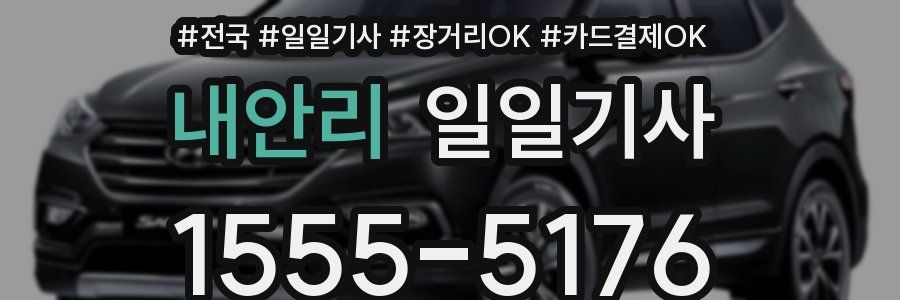 내안리 일일기사