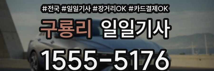 구룡리 일일기사