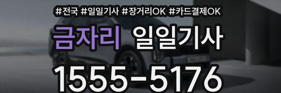 금자리 일일기사