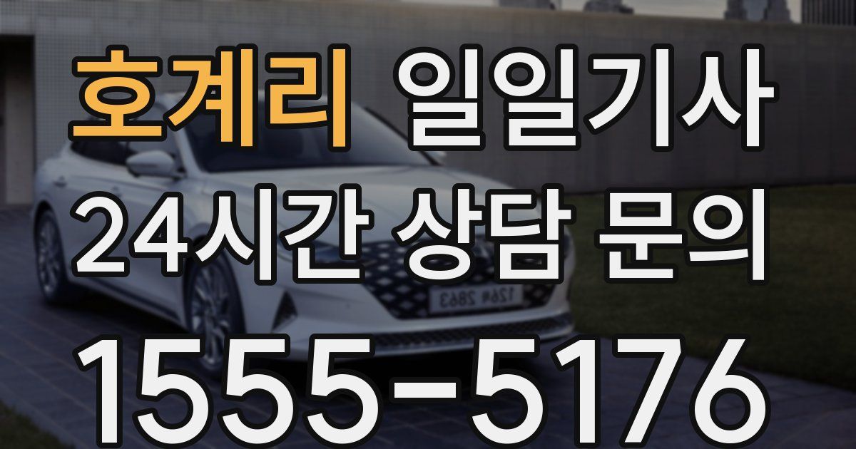 일일대리기사