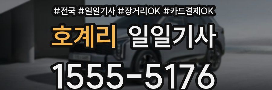 호계리 일일기사