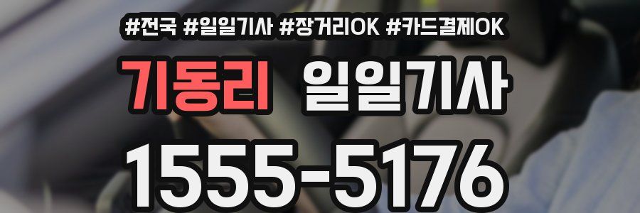 기동리 일일기사