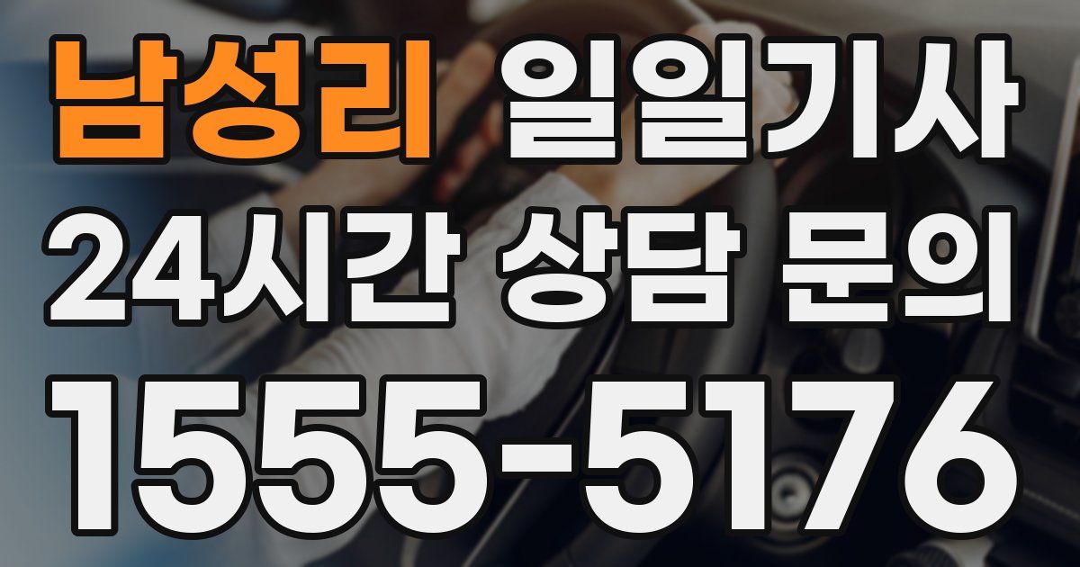 일일대리기사
