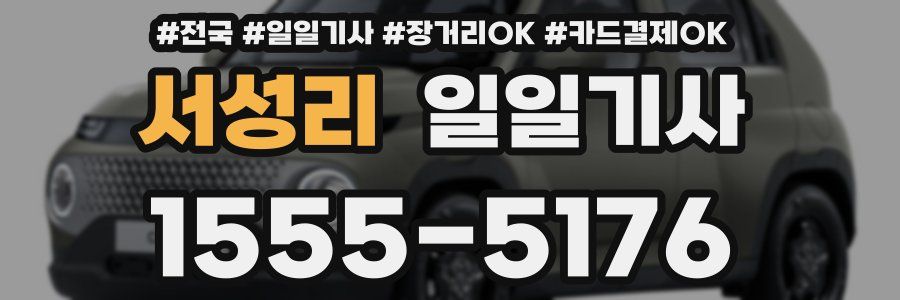 서성리 일일기사