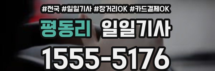 평동리 일일기사