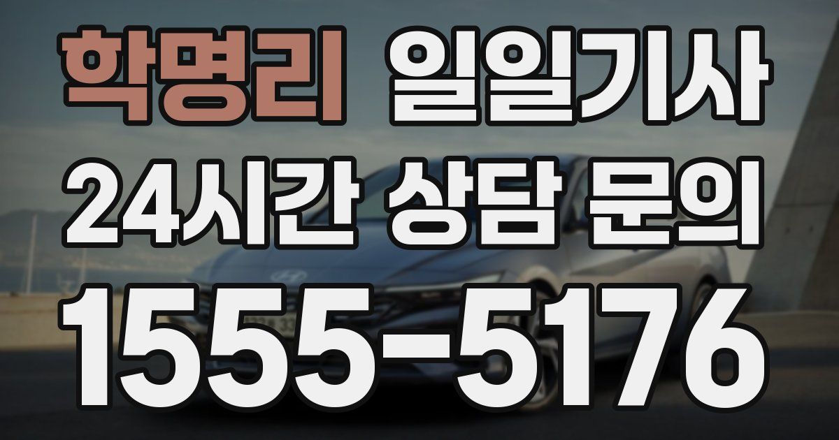 일일대리기사