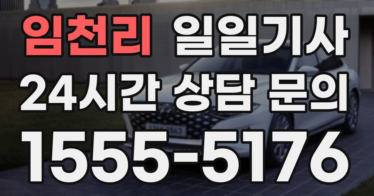 일일대리기사