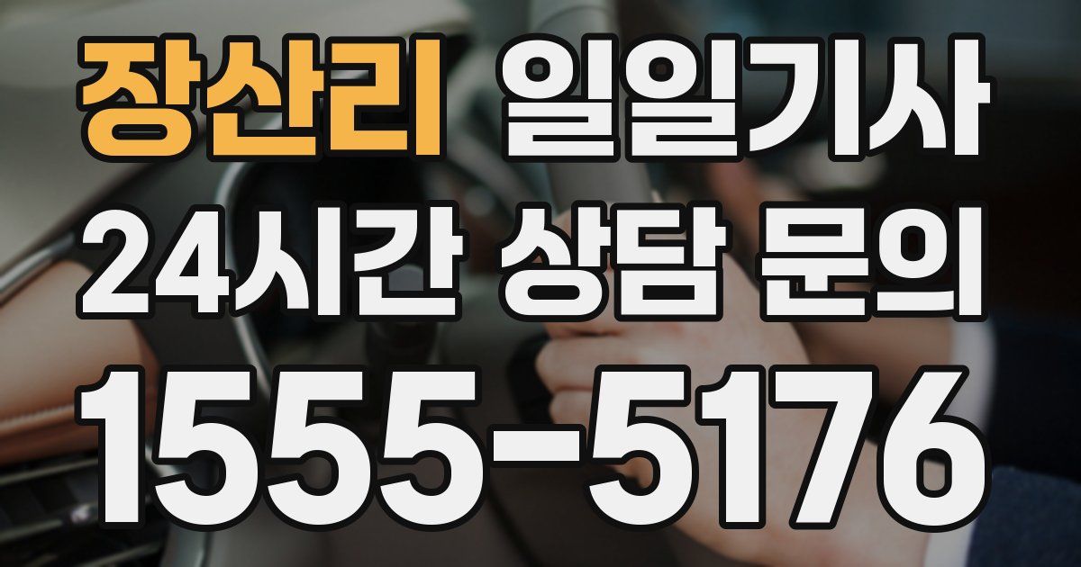 일일대리기사