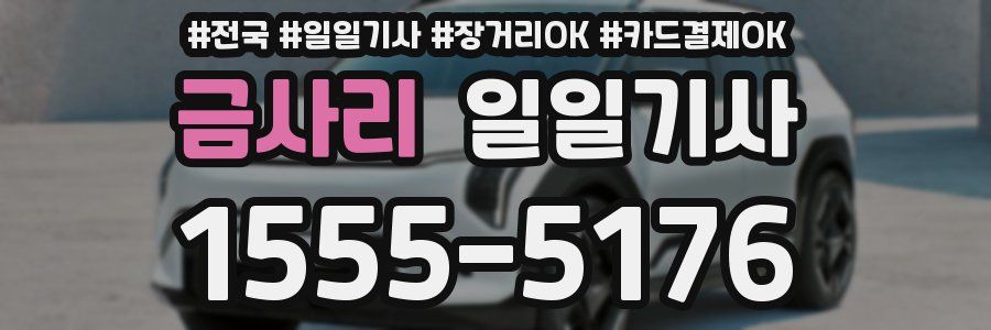 금사리 일일기사