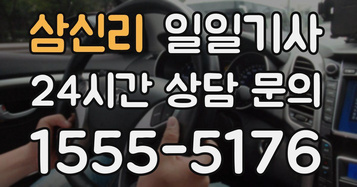일일대리기사