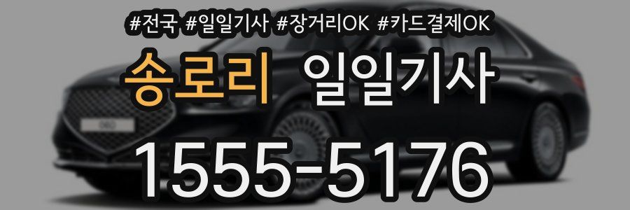 송로리 일일기사