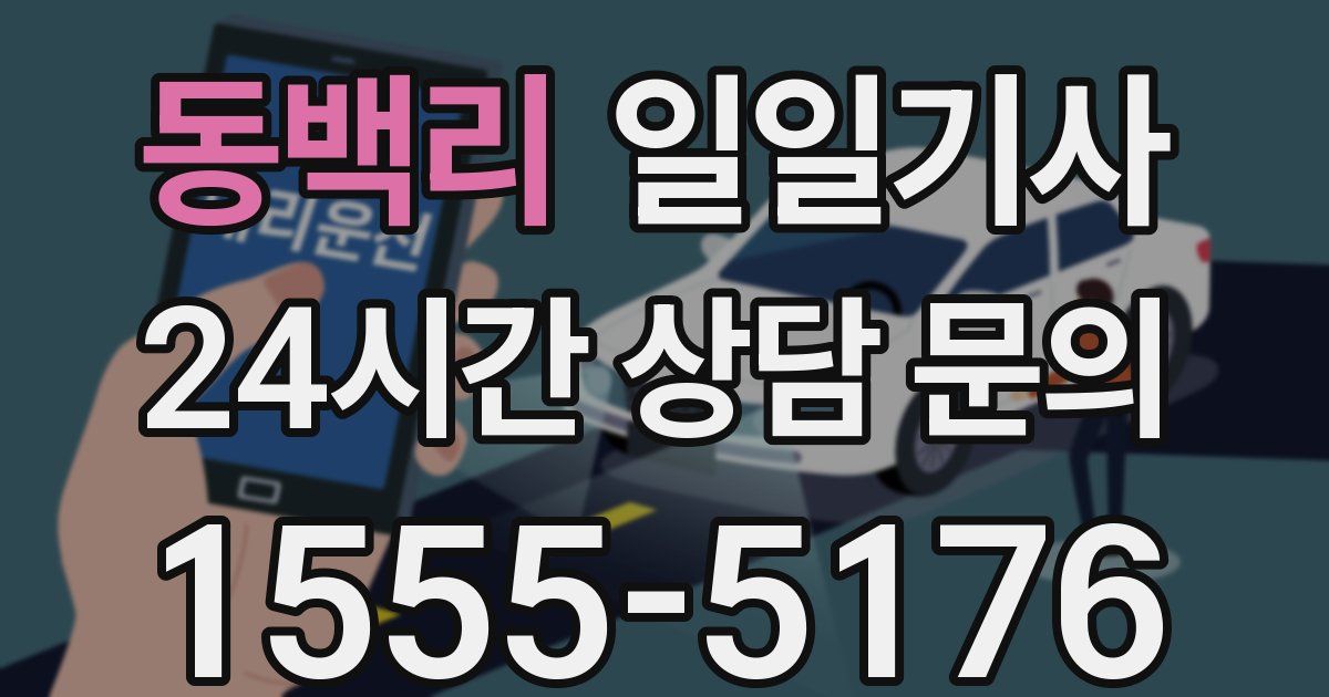 일일대리기사