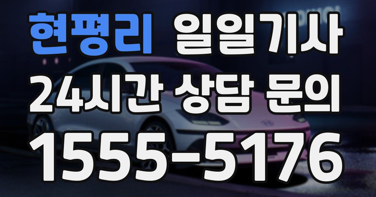 일일대리기사