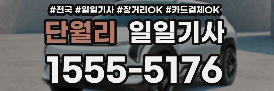 단월리 일일기사