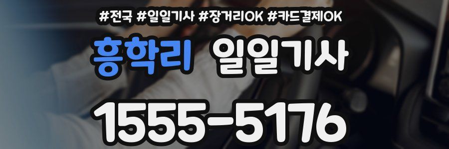 흥학리 일일기사