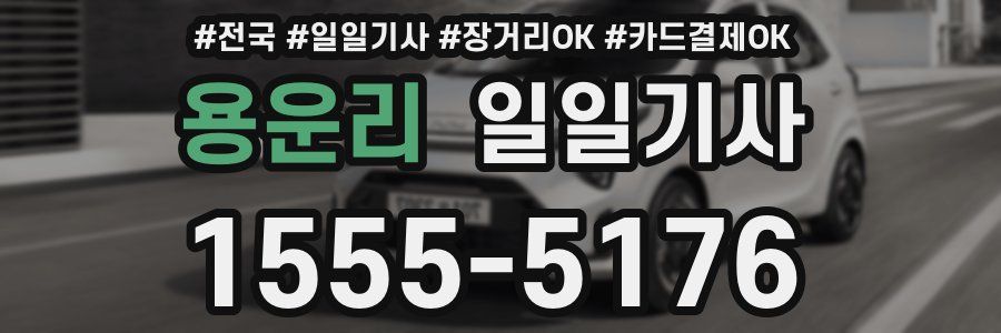 용운리 일일기사
