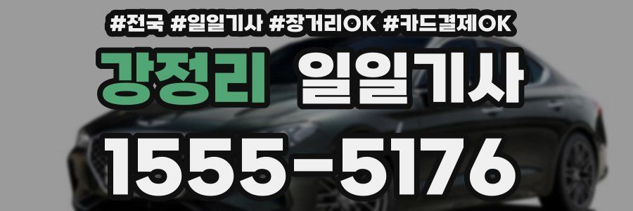 강정리 일일기사