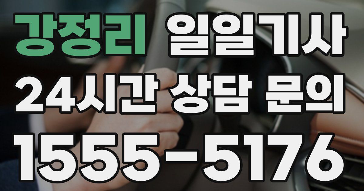 일일대리기사