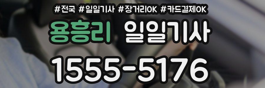 용흥리 일일기사