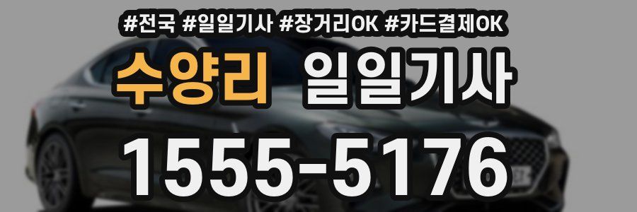 수양리 일일기사