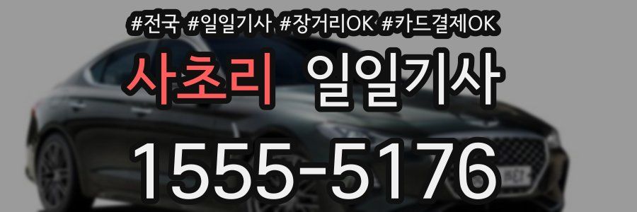 사초리 일일기사