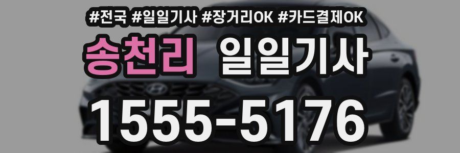 송천리 일일기사