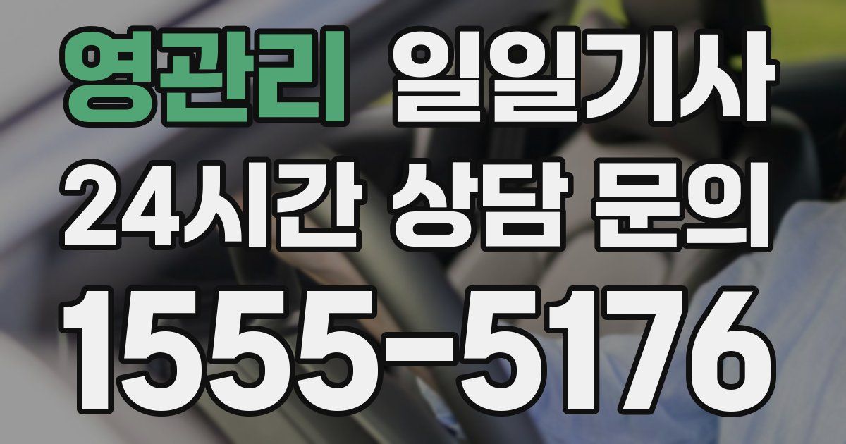 일일대리기사