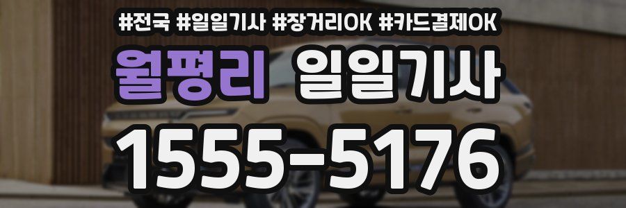 월평리 일일기사