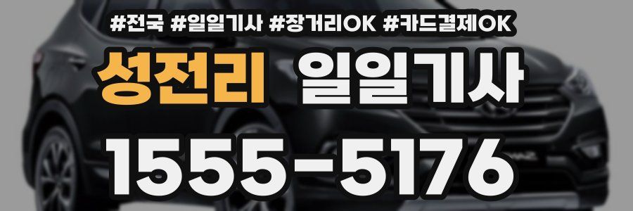 성전리 일일기사