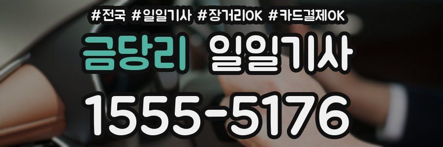 금당리 일일기사