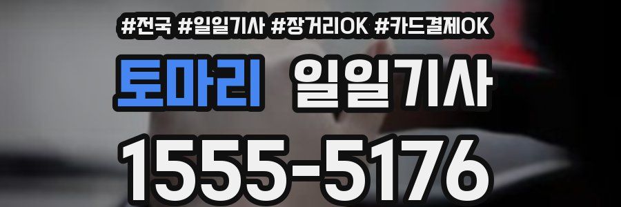 토마리 일일기사