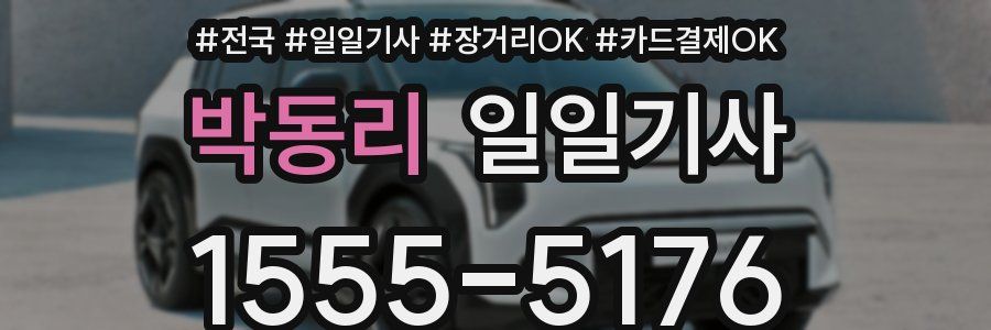 박동리 일일기사