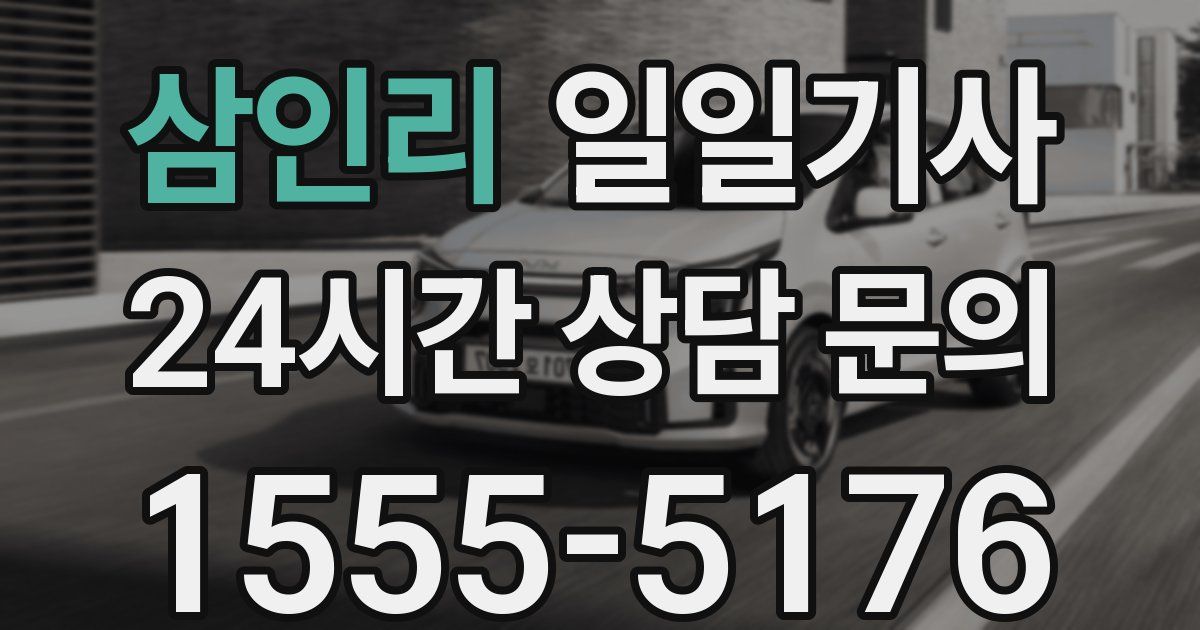 일일대리기사