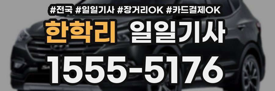 한학리 일일기사
