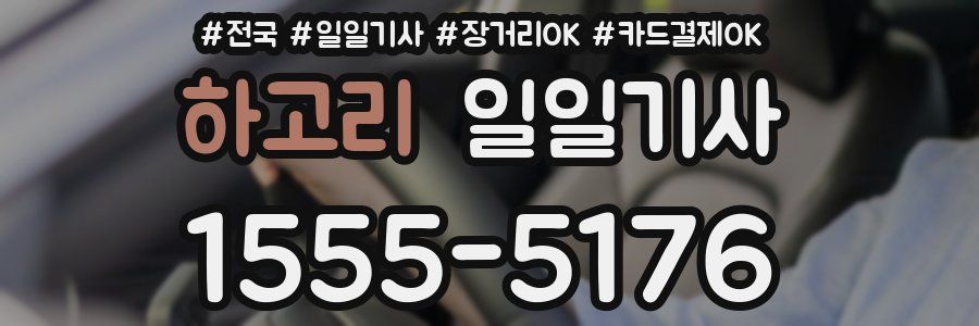 하고리 일일기사