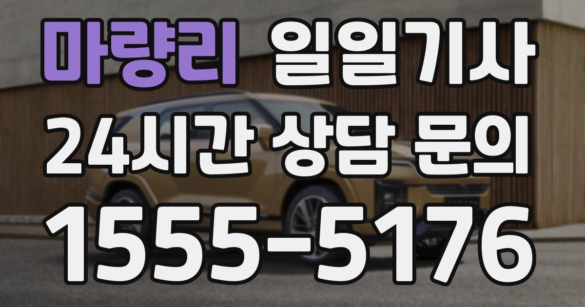 일일대리기사