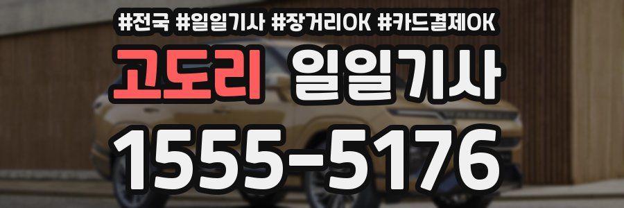 고도리 일일기사