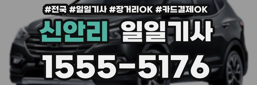 신안리 일일기사