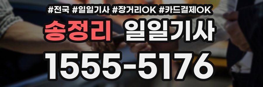 송정리 일일기사