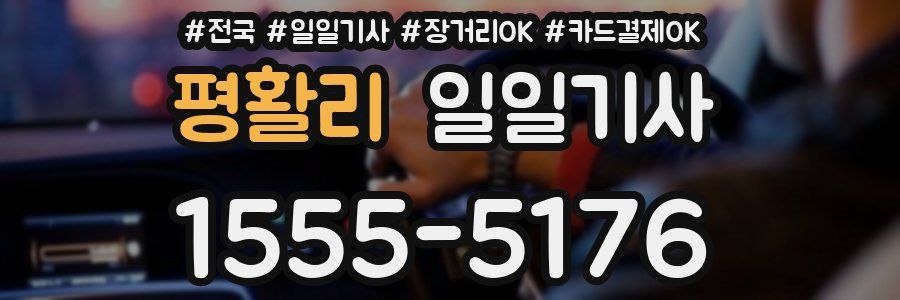 평활리 일일기사