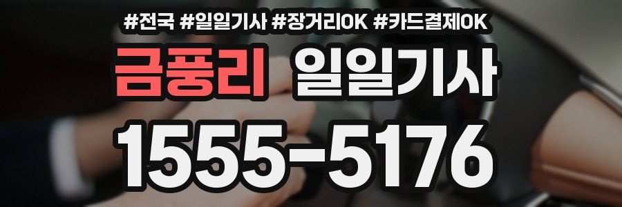 금풍리 일일기사